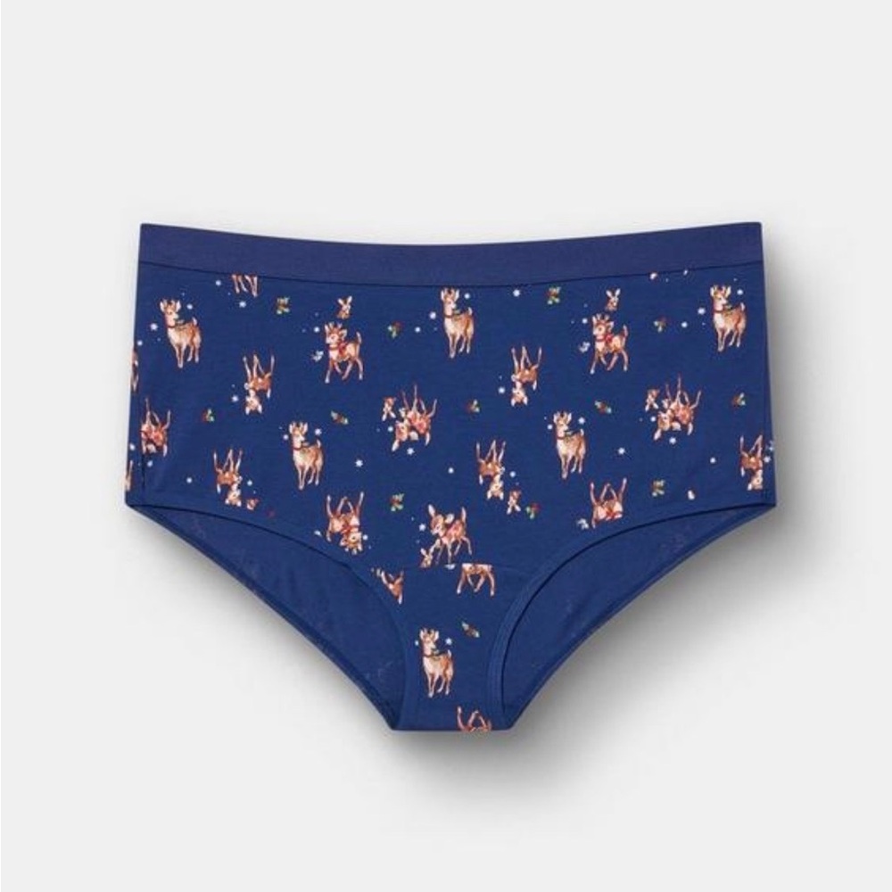 Mid rise brief panty